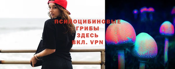прущий лед Горняк
