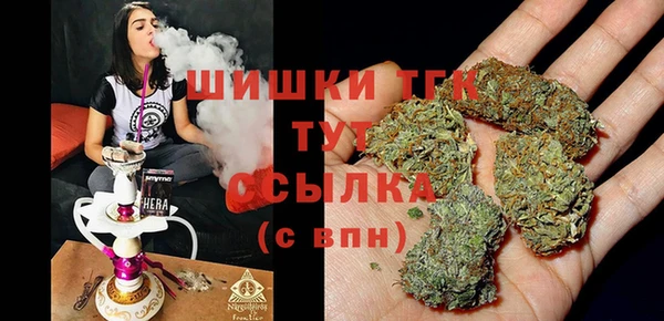 прущий лед Горняк