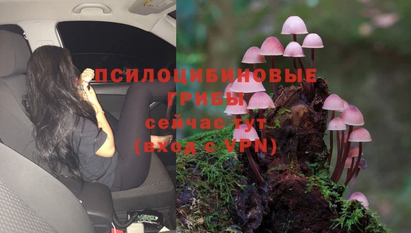 прущий лед Горняк