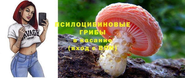прущий лед Горняк