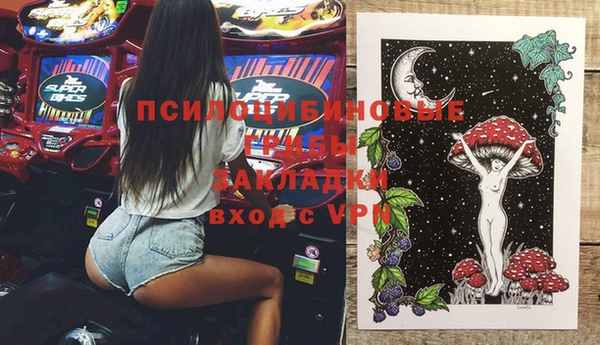 прущий лед Горняк