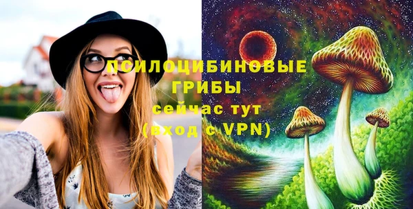 прущий лед Горняк