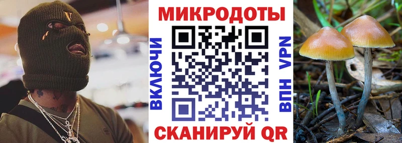 наркота  Ноябрьск  Галлюциногенные грибы Psilocybe 